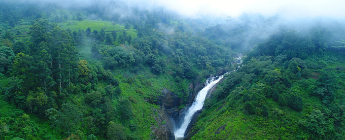 Green Cove Resort Munnar