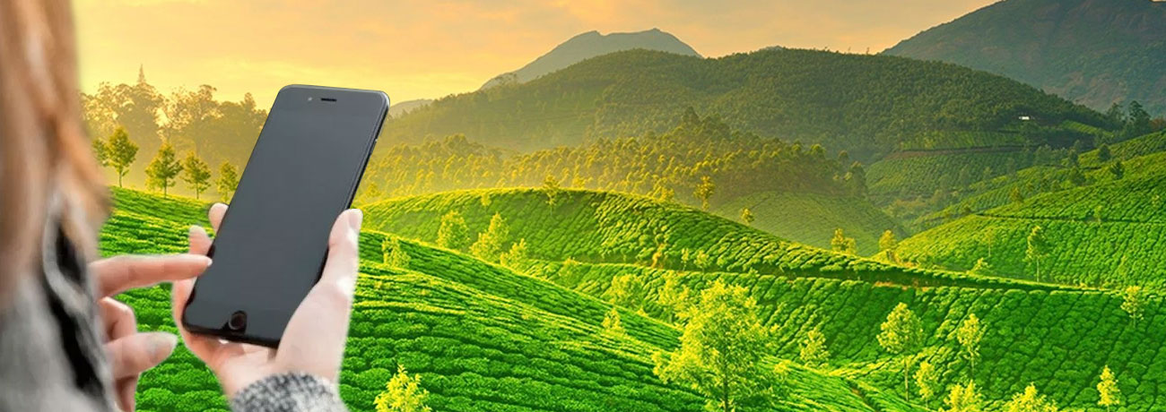 Green Cove Resort Munnar
