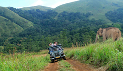 Green Cove MUnnar