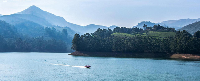 Green Cove Resort Munnar