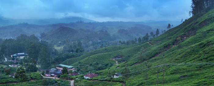 Green Cove Resort Munnar