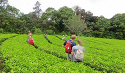 Green Cove MUnnar